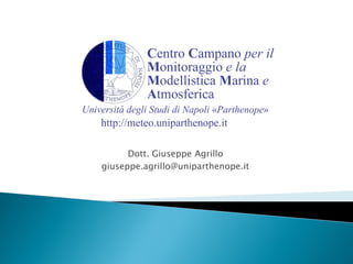 Dott. Giuseppe Agrillo
giuseppe.agrillo@uniparthenope.it
 