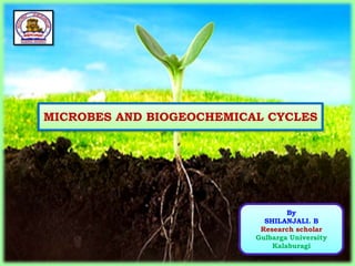 By
SHILANJALI. B
Research scholar
Gulbarga University
Kalaburagi
MICROBES AND BIOGEOCHEMICAL CYCLES
 