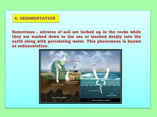 6. SEDIMENTATION
Sometimes , nitrates of soil are locked up in the rocks while
they are washed down to the sea or leached deeply into the
earth along with percolating water. This phenomena is known
as sedimentation.
 