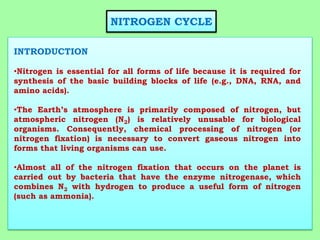 NITROGEN CYCLE
INTRODUCTION
•Nitrogen is essential for all forms of life because it is required for
synthesis of the basic building blocks of life (e.g., DNA, RNA, and
amino acids).
•The Earth’s atmosphere is primarily composed of nitrogen, but
atmospheric nitrogen (N2) is relatively unusable for biological
organisms. Consequently, chemical processing of nitrogen (or
nitrogen fixation) is necessary to convert gaseous nitrogen into
forms that living organisms can use.
•Almost all of the nitrogen fixation that occurs on the planet is
carried out by bacteria that have the enzyme nitrogenase, which
combines N2 with hydrogen to produce a useful form of nitrogen
(such as ammonia).
 