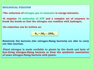 BIOLOGICAL FIXATION
•The reduction of nitrogen gas to ammonia is energy-intensive.
•It requires 16 molecules of ATP and a complex set of enzymes to
break the bonds so that the nitrogen can combine with hydrogen.
•Its reduction can be written as:
Relatively few bacteria (the nitrogen-fixing bacteria) are able to carry
out this reaction.
•Fixed nitrogen is made available to plants by the death and lysis of
free-living nitrogen-fixing bacteria or from the symbiotic association
of some nitrogen-fixing bacteria with plants.
N2 + 3H2→ 2NH3
 