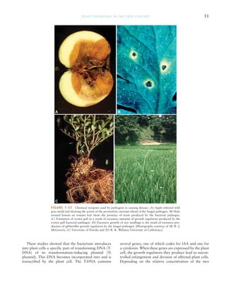 Agrios (2005) - Plant pathology 5. ed.pdf