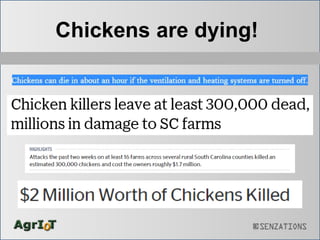 Chickens are dying!
 