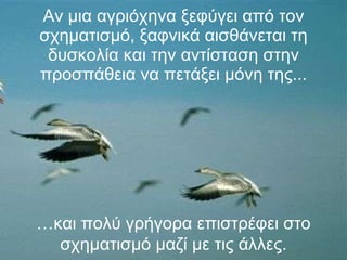 Αν μια αγριόχηνα ξεφύγει από τον σχηματισμό, ξαφνικά αισθάνεται τη δυσκολία και την αντίσταση στην προσπάθεια να πετάξει μόνη της... … και πολύ γρήγορα επιστρέφει στο σχηματισμό μαζί με τις άλλες. 