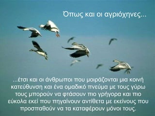 Όπως και οι αγριόχηνες...   ...έτσι και οι άνθρωποι που μοιράζονται μια κοινή κατεύθυνση και ένα ομαδικό πνεύμα με τους γύρω τους μπορούν να φτάσουν πιο γρήγορα και πιο εύκολα εκεί που πηγαίνουν αντίθετα με εκείνους που προσπαθούν να τα καταφέρουν μόνοι τους. 