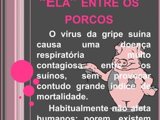 “Ela” entre os porcosO vírus da gripe suína causa uma doença respiratória muito contagiosa entre os suínos, sem provocar contudo grande índice de mortalidade.      Habitualmente não afeta humanos; porem, existem casos esporádicos de contágio, confirmados em laborátorio, em determinados grupos de risco.