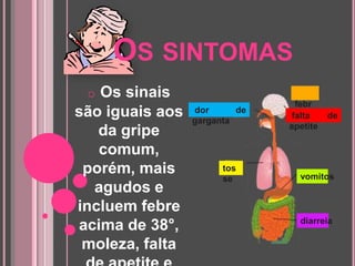 Os sintomasOs sinais são iguais aos da gripe comum, porém, mais agudos e incluem febre acima de 38°, moleza, falta de apetite e tosse.  febre dor de garganta falta de apetitetossevomitosdiarreia