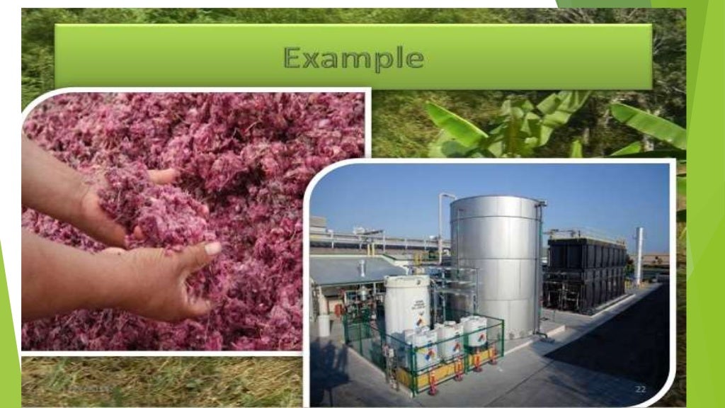 Agricultural waste management
