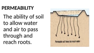 PERMEABILITY
The ability of soil
to allow water
and air to pass
through and
reach roots.
 