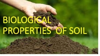 BIOLOGICAL
PROPERTIES OF SOIL
 