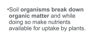 •Soil organisms break down
organic matter and while
doing so make nutrients
available for uptake by plants.
 