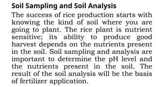 Soil Sampling and Soil Analysis
The success of rice production starts with
knowing the kind of soil where you are
going to plant. The rice plant is nutrient
sensitive; its ability to produce good
harvest depends on the nutrients present
in the soil. Soil sampling and analysis are
important to determine the pH level and
the nutrients present in the soil. The
result of the soil analysis will be the basis
of fertilizer application.
 