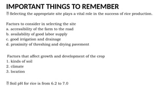 IMPORTANT THINGS TO REMEMBER
 Selecting the appropriate site plays a vital role in the success of rice production.
Factors to consider in selecting the site
a. accessibility of the farm to the road
b. availability of good labor supply
c. good irrigation and drainage
d. proximity of threshing and drying pavement
Factors that affect growth and development of the crop
1. kinds of soil
2. climate
3. location
 Soil pH for rice is from 6.2 to 7.0
 