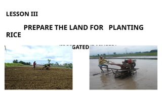 LESSON III
PREPARE THE LAND FOR PLANTING
RICE
(IRRIGATED/RAINFED)
 