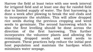 Harrow the field at least twice with one week interval
for irrigated field and at least one day for rainfed field
due to limited supply of water. The first harrowing is
done a week after plowing to break the soil clods and
to incorporate the stubbles. This will allow dropped
rice seeds during the previous cropping and weed
seeds to germinate. The second harrowing which is
also the first levelling should be done across the
direction of the first harrowing. This further
incorporates the volunteer plants and allowing the
remaining dropped seeds and weed seeds to
germinate. These practices help reduce the initial pest
host population and maintain the hardpan which
minimizes water seepage.
 