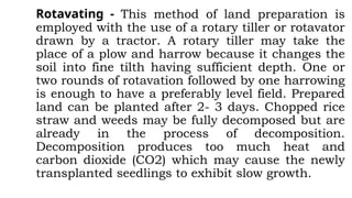 Rotavating - This method of land preparation is
employed with the use of a rotary tiller or rotavator
drawn by a tractor. A rotary tiller may take the
place of a plow and harrow because it changes the
soil into fine tilth having sufficient depth. One or
two rounds of rotavation followed by one harrowing
is enough to have a preferably level field. Prepared
land can be planted after 2- 3 days. Chopped rice
straw and weeds may be fully decomposed but are
already in the process of decomposition.
Decomposition produces too much heat and
carbon dioxide (CO2) which may cause the newly
transplanted seedlings to exhibit slow growth.
 