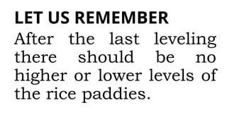 LET US REMEMBER
After the last leveling
there should be no
higher or lower levels of
the rice paddies.
 