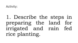 Activity:
1. Describe the steps in
preparing the land for
irrigated and rain fed
rice planting.
 