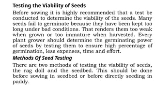 Testing the Viability of Seeds
Before sowing it is highly recommended that a test be
conducted to determine the viability of the seeds. Many
seeds fail to germinate because they have been kept too
long under bad conditions. That renders them too weak
when grown or too immature when harvested. Every
plant grower should determine the germinating power
of seeds by testing them to ensure high percentage of
germination, less expenses, time and effort.
Methods Of Seed Testing
There are two methods of testing the viability of seeds,
the rag doll and the seedbed. This should be done
before sowing in seedbed or before directly seeding in
paddy.
 