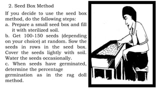 2. Seed Box Method
If you decide to use the seed box
method, do the following steps:
a. Prepare a small seed box and fill
it with sterilized soil.
b. Get 100-150 seeds (depending
on your choice) at random. Sow the
seeds in rows in the seed box.
Cover the seeds lightly with soil.
Water the seeds occasionally.
c. When seeds have germinated,
determine the percentage
germination as in the rag doll
method.
 