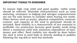 IMPORTANT THINGS TO REMEMBER
To ensure high crop yield and good quality, viable seeds
should be selected. Desirable characteristics such as early
maturing, resistance to lodging and nitrogen responsiveness
are not the only factors to consider when buying rice seeds.
Other factors such as purity, physical composition, moisture
content, and capacity of the seed to germinate should be
included. Seed viability is a characteristic of rice essential to
profitable rice production because good quality seeds bring
about a maximum yield with minimum expenditure of time,
money and effort. Seed viability test should be done before
the seed is sown in seed beds or directly seeding in paddies
following the rag doll or seed box methods.
 