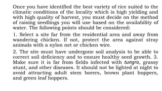 Once you have identified the best variety of rice suited to the
climatic conditions of the locality which is high yielding and
with high quality of harvest, you must decide on the method
of raising seedlings you will use based on the availability of
water. The following points should be considered:
1. Select a site far from the residential area and away from
wandering chicken. If not, protect the area against stray
animals with a nylon net or chicken wire.
2. The site must have undergone soil analysis to be able to
correct soil deficiency and to ensure healthy seed growth. 3.
Make sure it is far from fields infected with tungro, grassy
stunt, and other diseases. It should not be lighted at night to
avoid attracting adult stem borers, brown plant hoppers,
and green leaf hoppers.
 