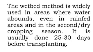 The wetbed method is widely
used in areas where water
abounds, even in rainfed
areas and in the second/dry
cropping season. It is
usually done 25-30 days
before transplanting.
 