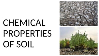 CHEMICAL
PROPERTIES
OF SOIL
 