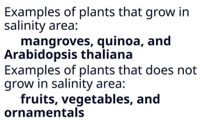 Examples of plants that grow in
salinity area:
mangroves, quinoa, and
Arabidopsis thaliana
Examples of plants that does not
grow in salinity area:
fruits, vegetables, and
ornamentals
 