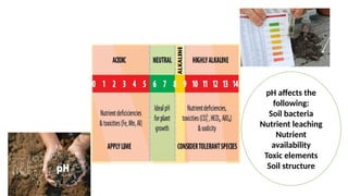 pH affects the
following:
Soil bacteria
Nutrient leaching
Nutrient
availability
Toxic elements
Soil structure
 