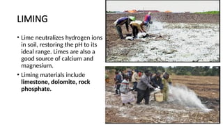 LIMING
• Lime neutralizes hydrogen ions
in soil, restoring the pH to its
ideal range. Limes are also a
good source of calcium and
magnesium.
• Liming materials include
limestone, dolomite, rock
phosphate.
 
