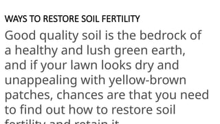 WAYS TO RESTORE SOIL FERTILITY
Good quality soil is the bedrock of
a healthy and lush green earth,
and if your lawn looks dry and
unappealing with yellow-brown
patches, chances are that you need
to find out how to restore soil
 