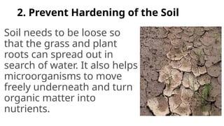 2. Prevent Hardening of the Soil
Soil needs to be loose so
that the grass and plant
roots can spread out in
search of water. It also helps
microorganisms to move
freely underneath and turn
organic matter into
nutrients.
 