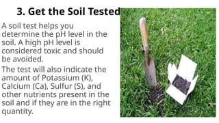 3. Get the Soil Tested
A soil test helps you
determine the pH level in the
soil. A high pH level is
considered toxic and should
be avoided.
The test will also indicate the
amount of Potassium (K),
Calcium (Ca), Sulfur (S), and
other nutrients present in the
soil and if they are in the right
quantity.
 