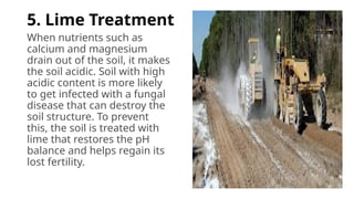 5. Lime Treatment
When nutrients such as
calcium and magnesium
drain out of the soil, it makes
the soil acidic. Soil with high
acidic content is more likely
to get infected with a fungal
disease that can destroy the
soil structure. To prevent
this, the soil is treated with
lime that restores the pH
balance and helps regain its
lost fertility.
 