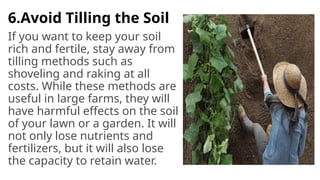 6.Avoid Tilling the Soil
If you want to keep your soil
rich and fertile, stay away from
tilling methods such as
shoveling and raking at all
costs. While these methods are
useful in large farms, they will
have harmful effects on the soil
of your lawn or a garden. It will
not only lose nutrients and
fertilizers, but it will also lose
the capacity to retain water.
 