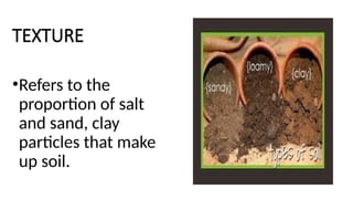 TEXTURE
•Refers to the
proportion of salt
and sand, clay
particles that make
up soil.
 