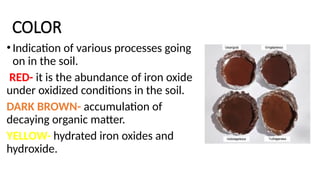 COLOR
•Indication of various processes going
on in the soil.
RED- it is the abundance of iron oxide
under oxidized conditions in the soil.
DARK BROWN- accumulation of
decaying organic matter.
YELLOW- hydrated iron oxides and
hydroxide.
 