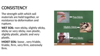 CONSISTENCY
The strength with which soil
materials are held together, or
resistance to deformation and
rupture.
WET SOIL- non sticky, slightly sticky,
sticky or very sticky, non plastic,
slightly plastic, plastic and very
plastic,
MOIST SOIL- loose , very friable,
friable, firm, very firm, extremely
firm.
 