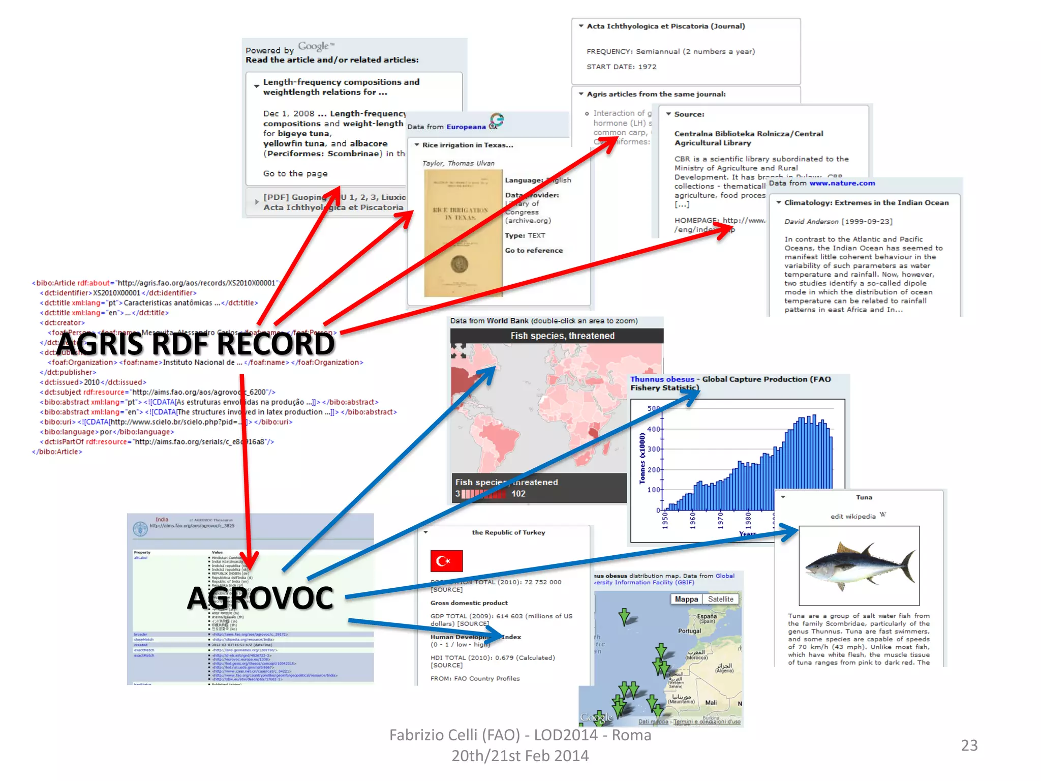 AGRIS RDF RECORD

AGROVOC

Fabrizio Celli (FAO) - LOD2014 - Roma
20th/21st Feb 2014

23

 