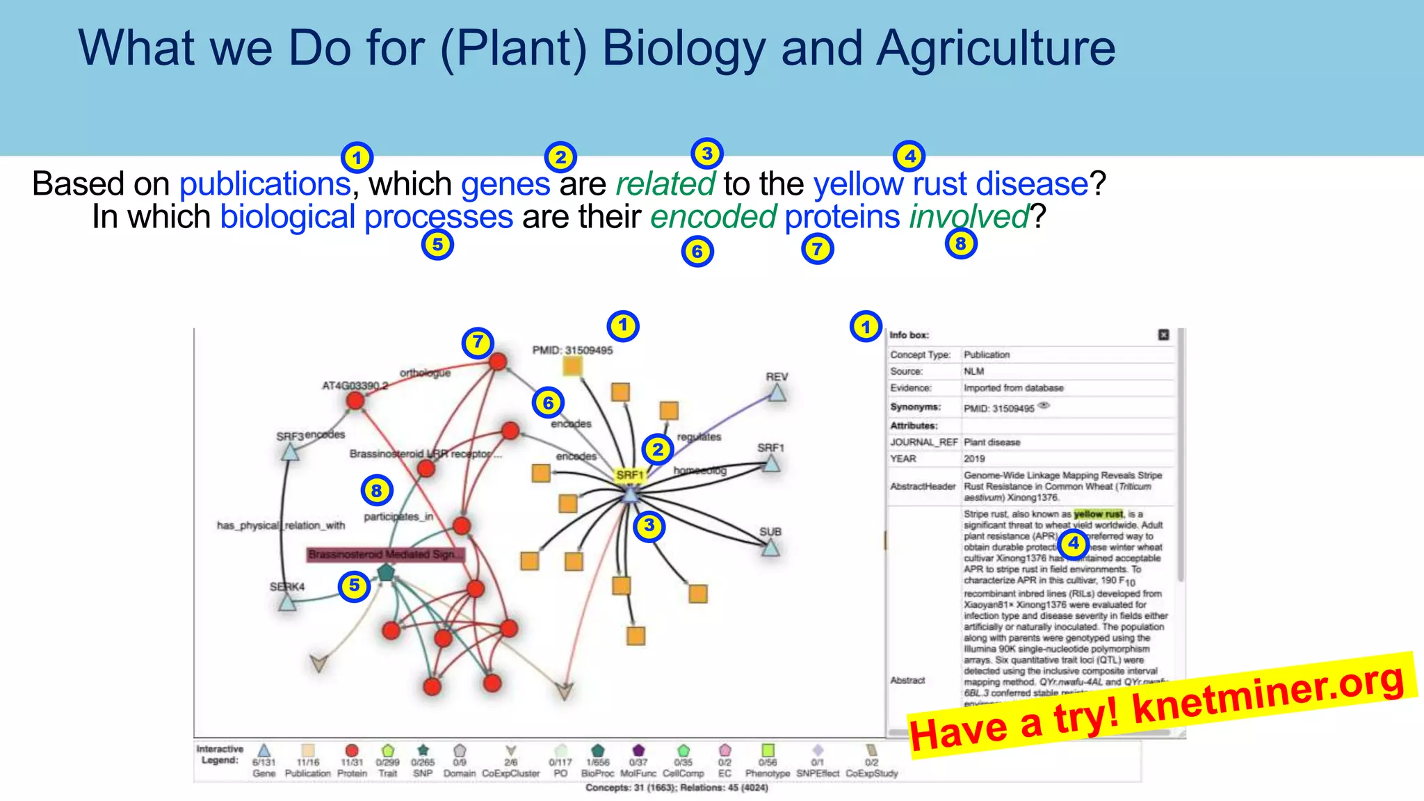 What we Do for (Plant) Biology and Agriculture
Based on publications, which genes are related to the yellow rust disease?
In which biological processes are their encoded proteins involved?
1 2
5 8
1
3
4
5
7
6
4
3
2
1
6 7
8
 