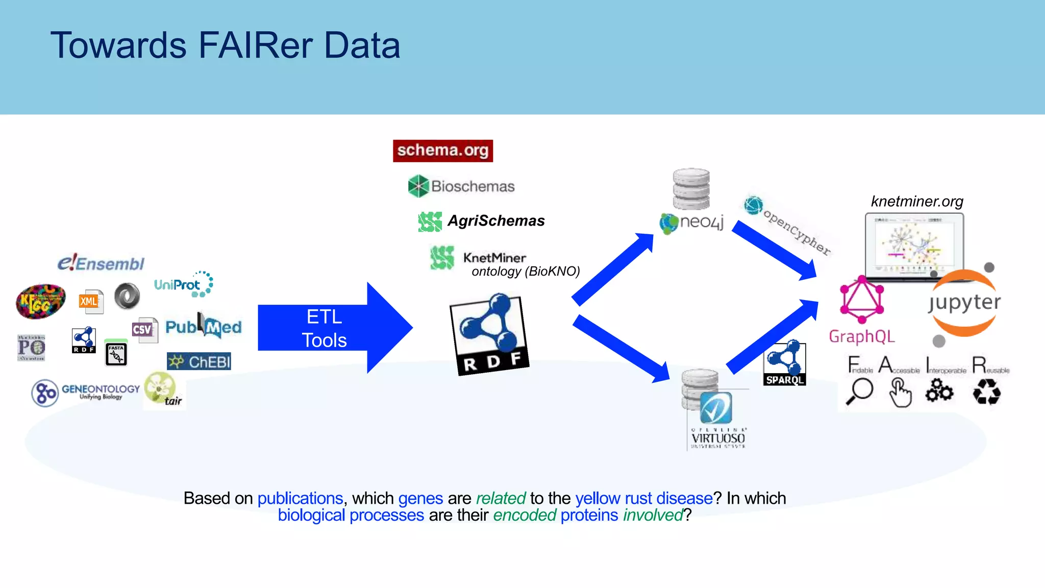 Towards FAIRer Data
Based on publications, which genes are related to the yellow rust disease? In which
biological processes are their encoded proteins involved?
AgriSchemas
ontology (BioKNO)
ETL
Tools
knetminer.org
 