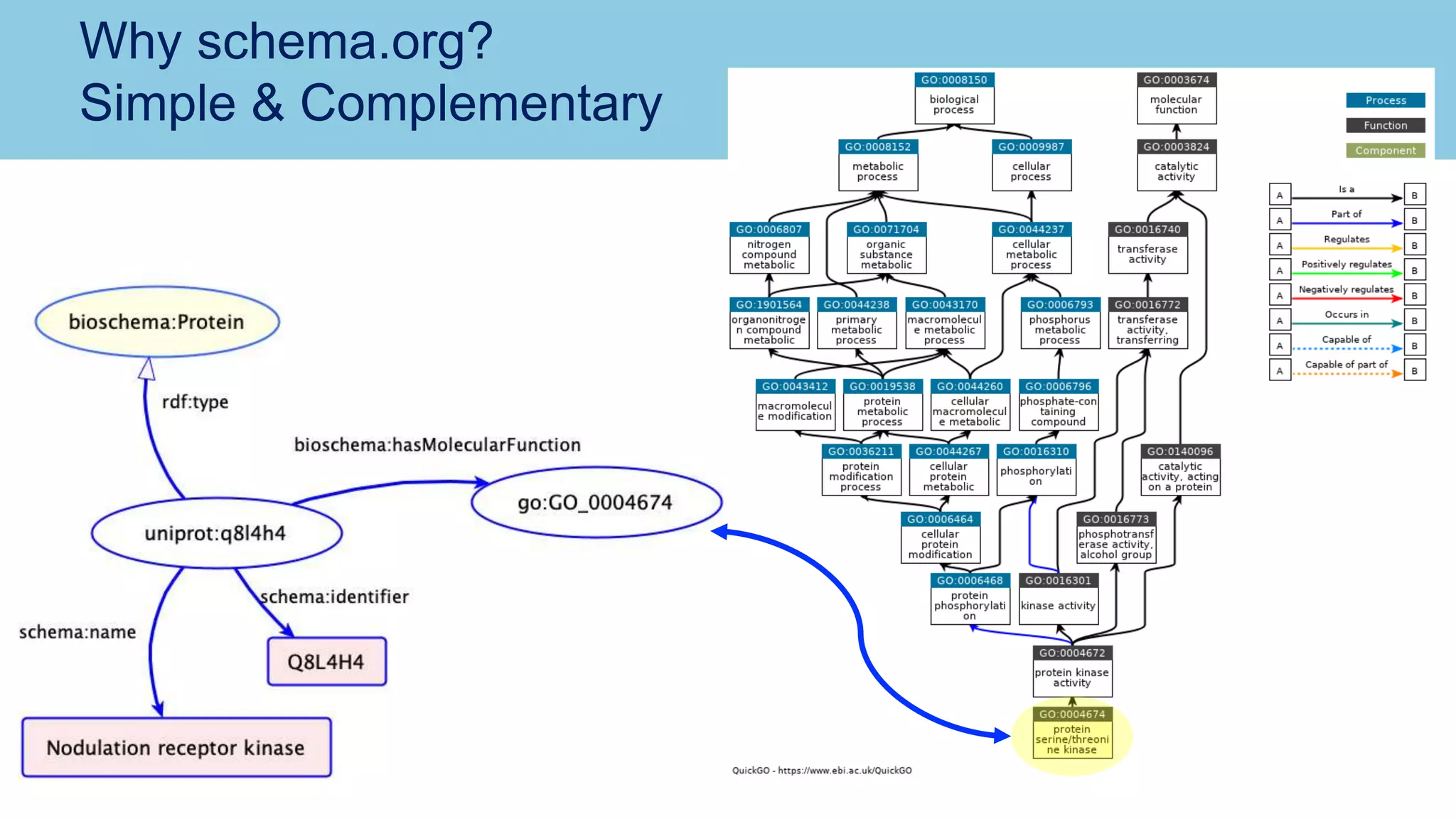 Why schema.org?
Simple & Complementary
 