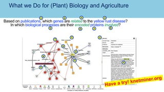 What we Do for (Plant) Biology and Agriculture
Based on publications, which genes are related to the yellow rust disease?
In which biological processes are their encoded proteins involved?
1 2
5 8
1
3
4
5
7
6
4
3
2
1
6 7
8
 