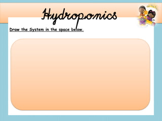 Hydroponics
Draw the System in the space below.
 