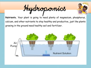 Hydroponics
Nutrients. Your plant is going to need plenty of magnesium, phosphorus,
calcium, and other nutrients to stay healthy and productive, just like plants
growing in the ground need healthy soil and fertilizer.
 
