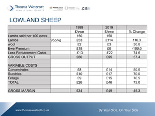By Your Side. On Your Sidewww.thomaswestcott.co.uk
1999 2019
£/ewe £/ewe % Change
Lambs sold per 100 ewes 150 150
Lambs 95p/kg £53 £114 116.3
wool £2 £3 30.0
Ewe Premium £18 £0 -100.0
Less Replacement Costs -£13 -£22 74.6
GROSS OUTPUT £60 £95 57.4
VARIABLE COSTS
Concentrates £8 £14 80.0
Sundries £10 £17 70.0
Forage £9 £15 70.5
TOTAL £26 £46 73.0
GROSS MARGIN £34 £49 45.3
LOWLAND SHEEP
 