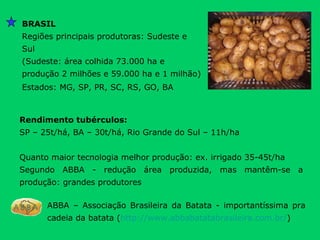 BRASIL Regiões principais produtoras: Sudeste e Sul (Sudeste: área colhida 73.000 ha e produção 2 milhões e 59.000 ha e 1 milhão) Estados: MG, SP, PR, SC, RS, GO, BA Rendimento tubérculos: SP – 25t/há, BA – 30t/há, Rio Grande do Sul – 11h/ha Quanto maior tecnologia melhor produção: ex. irrigado 35-45t/ha Segundo ABBA - redução área produzida, mas mantêm-se a produção: grandes produtores  ABBA – Associação Brasileira da Batata - importantíssima pra cadeia da batata ( http://www.abbabatatabrasileira.com.br/ ) 