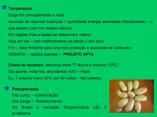 Chave do sucesso:  diferença entre Tº diurna e noturna (10ºC) Dia quente, noite fria, abundância H2O – Vitais Ex. T noturna maior 20ºC por 60 noites - não tuberiza Temperatura Exige frio principalmente a noite  Acumulo de reservas tubérculo = quantidade energia assimilada (fotossíntese) – o que respira (com frio respira menos). Em regiões frias a batata se desenvolve melhor Hoje em dia – com melhoramento se planta o ano todo  Frio – fator limitante para uma boa produção e qualidade de tubérculos DESAFIO – regiões quentes –  PROJETO APTA Fotoperíodo Dia curto – tuberização Dia longo – florescimento No Brasil a variação fotoperiódica não é problema 