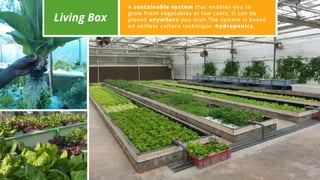 Living Box
A sustainable system that enables you to
grow fresh vegetables at low costs, It can be
placed anywhere you wish.The system is based
on soilless culture technique -hydroponics.
 